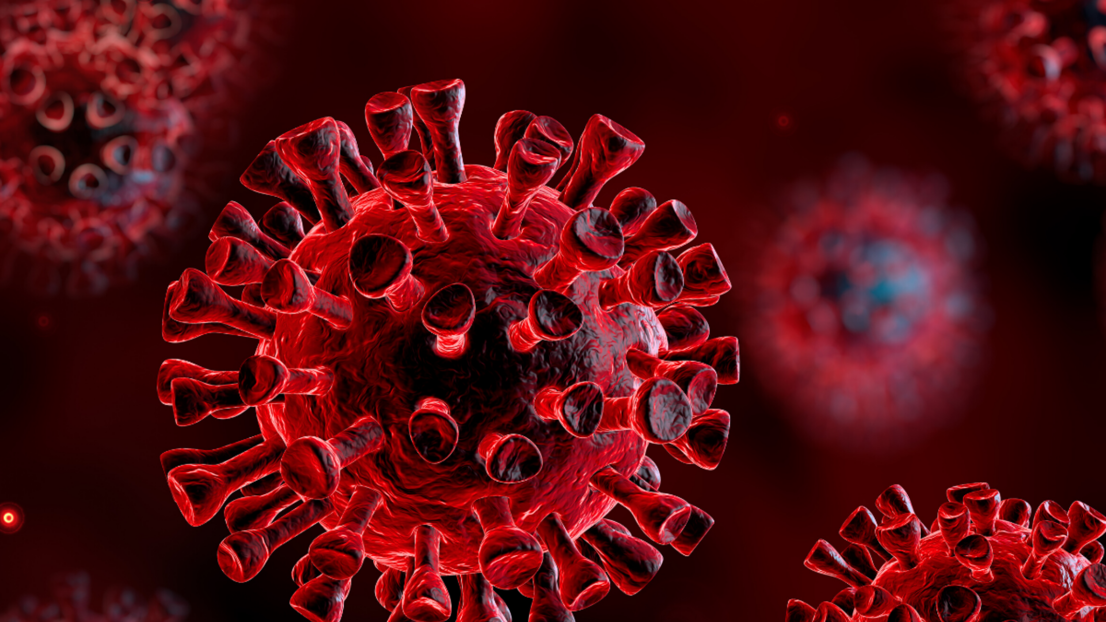 Filing Bankruptcy During the Coronavirus Pandemic and Your Frequently Asked Questions